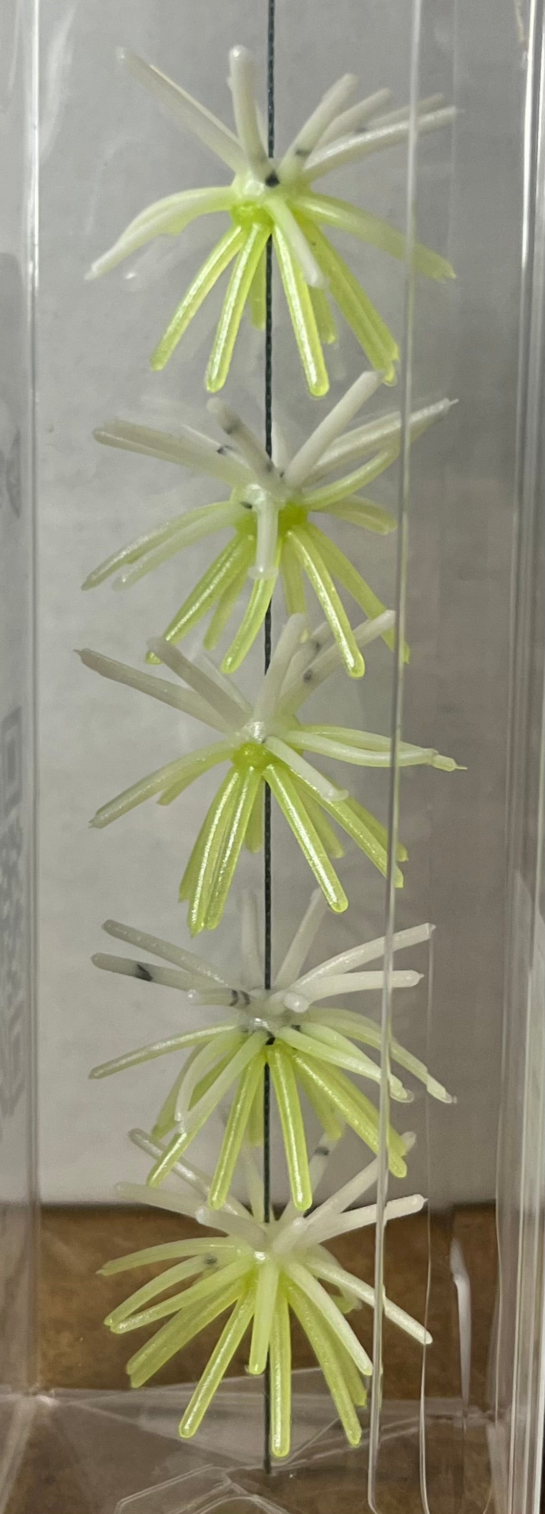 1.25" Depth Charge